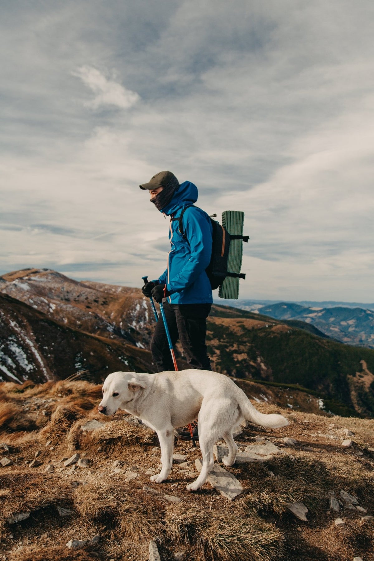 Op Vakantie Met Hond: Tips en Adviezen voor een Geslaagde Vakantie - MisterDog