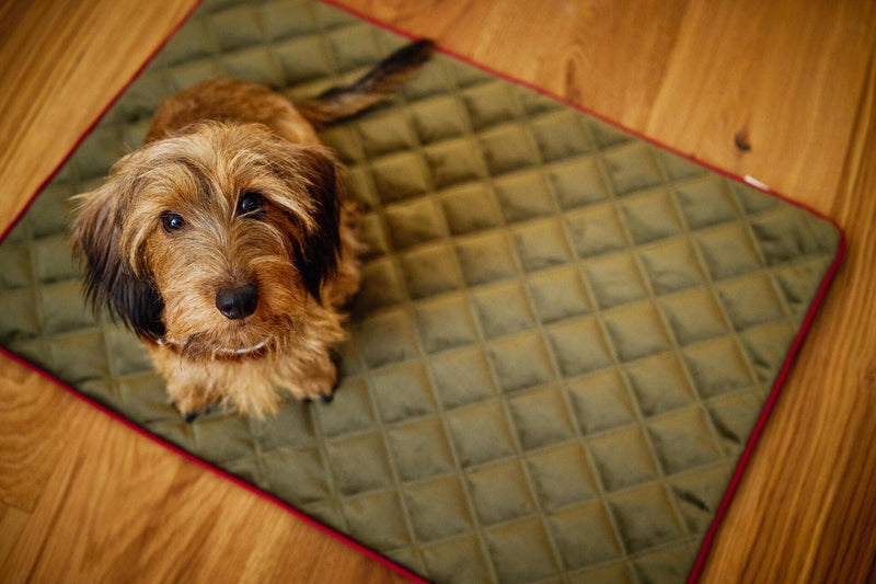 Dog blanket OXFORD - MisterDog