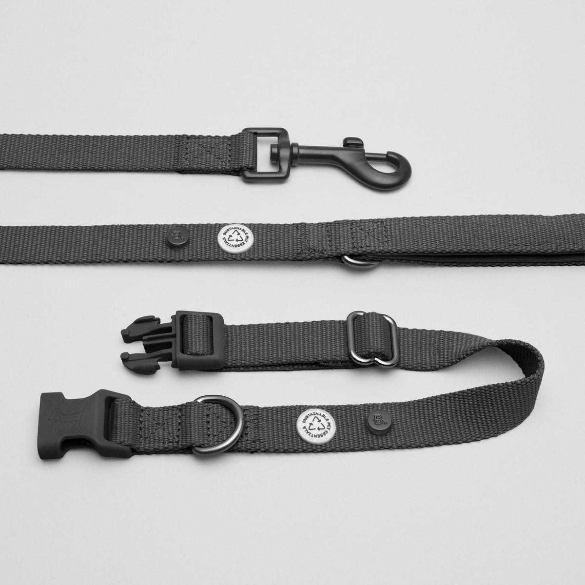 Dog Collar Walk Kit - MisterDog Black 12