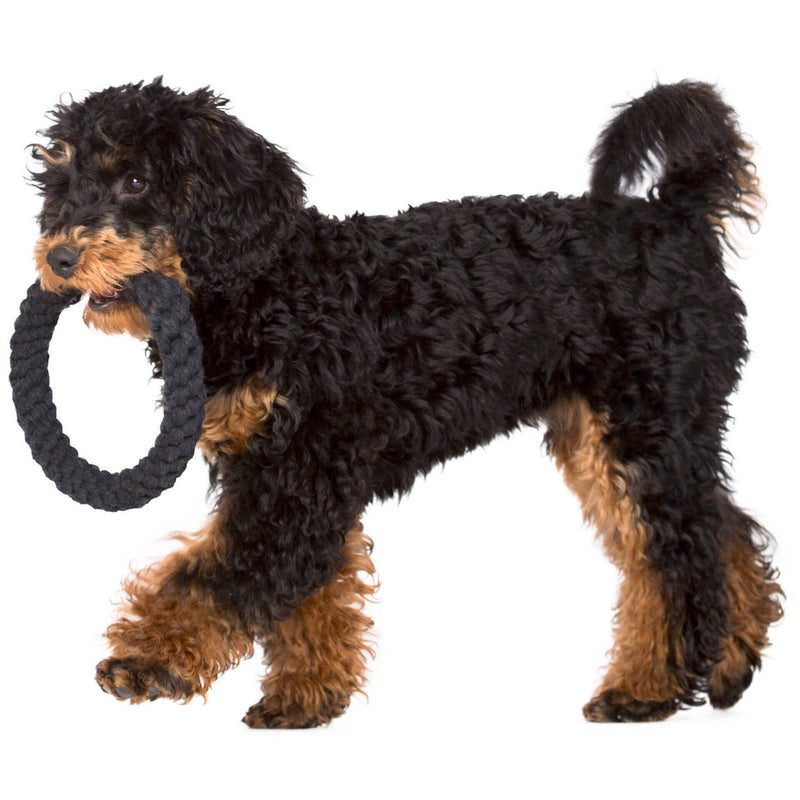 Dog toy Ringo Ring - MisterDog