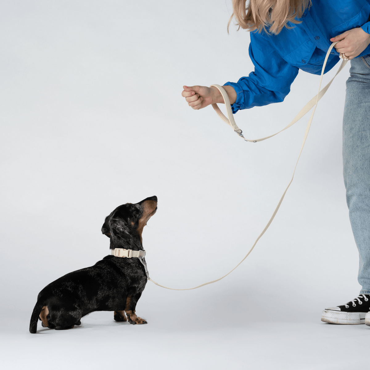 Eco-Friendly Dog Leash