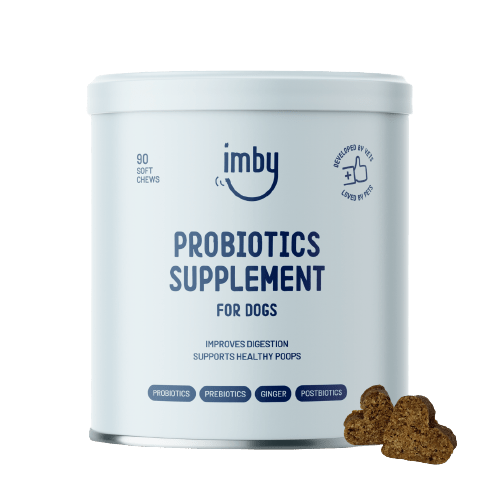 Probiotics for dogs - MisterDog