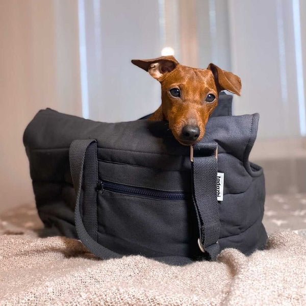 RIO Organic Cotton Dog Carrier Bag - Sleek and Sporty - MisterDog