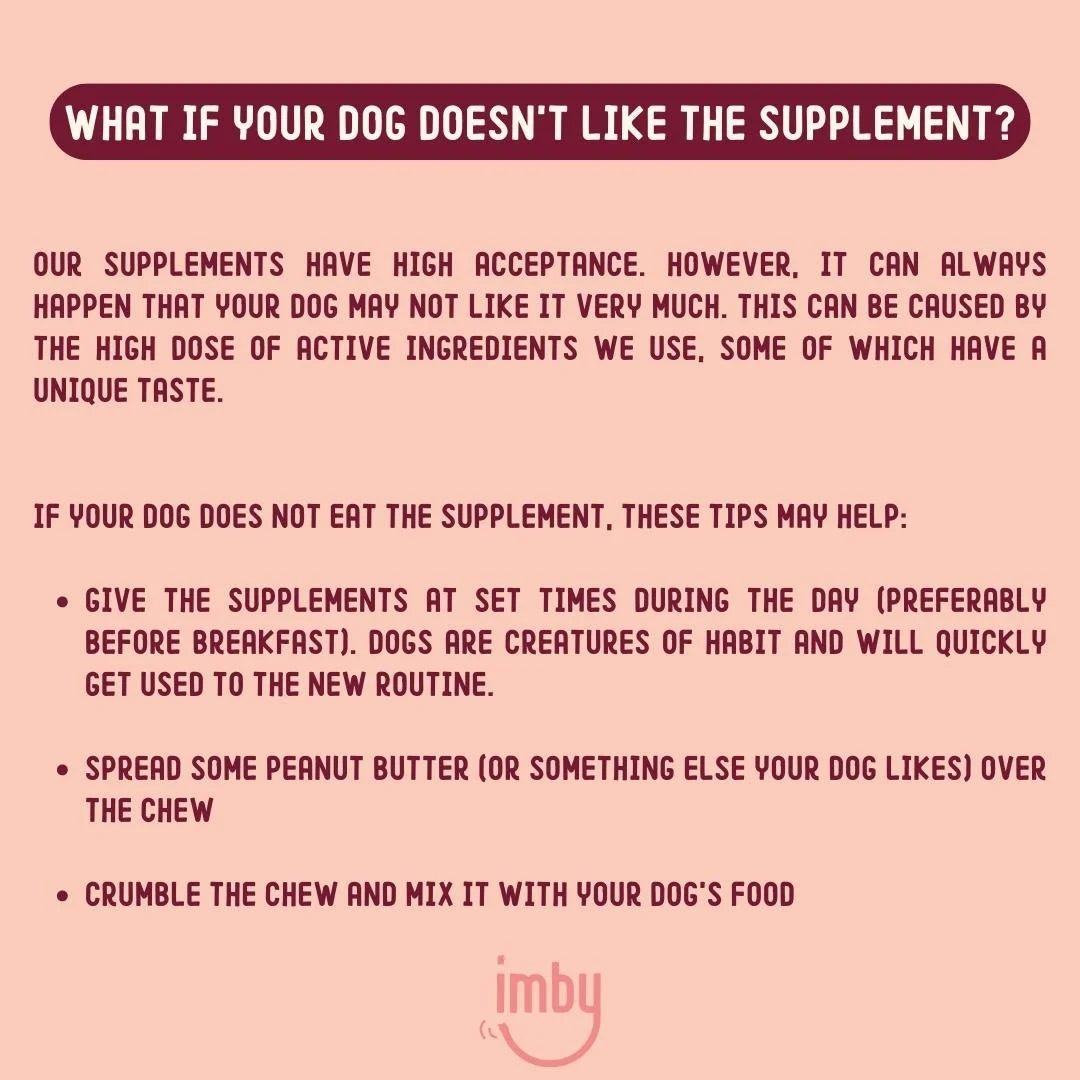 Skin Health Supplement for Dogs - MisterDog