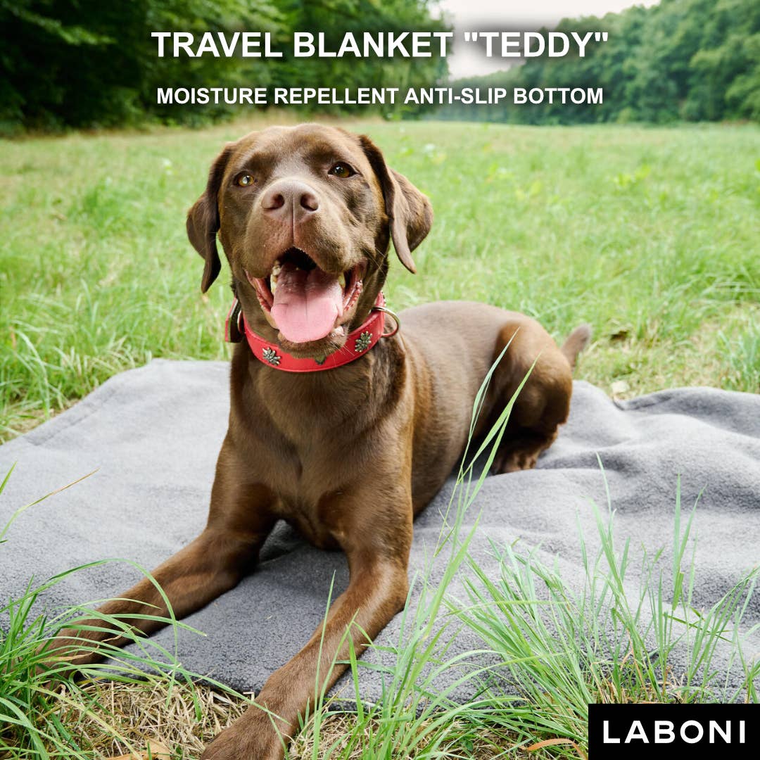 TEDDY - trunk & travel blanket - MisterDog