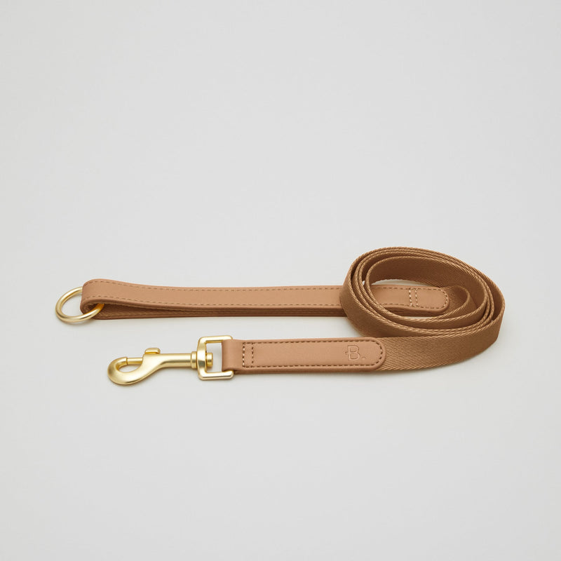 Vegan leather Dog Collar Walk Kit + Poop bag holder