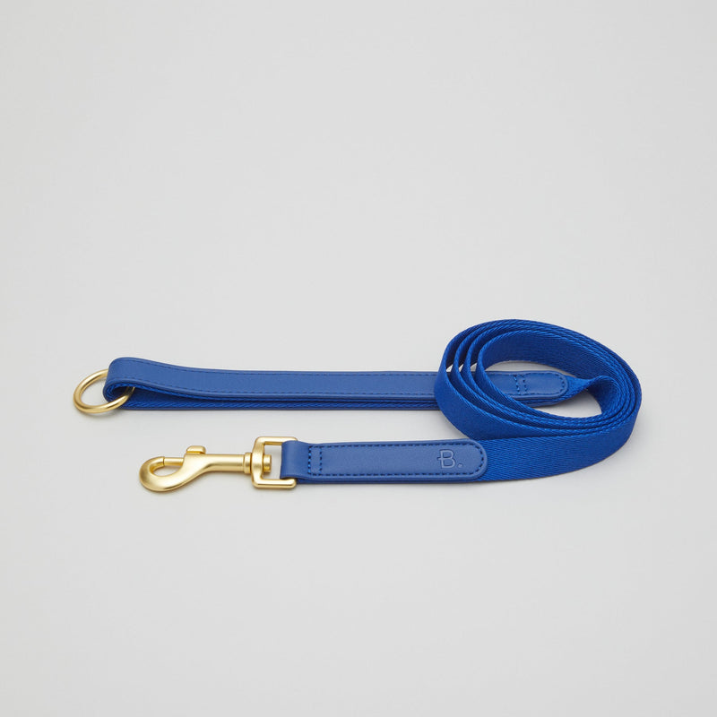 Vegan Leather dog leash