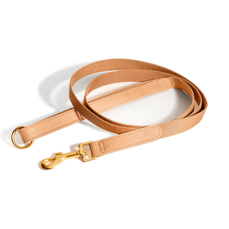 Vegan Leather dog leash