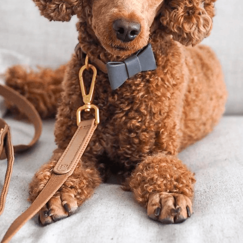 Vegan Leather dog leash